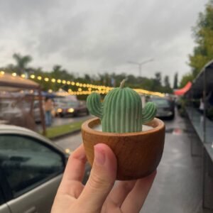 Vela Cactus - Cuenco de Madera