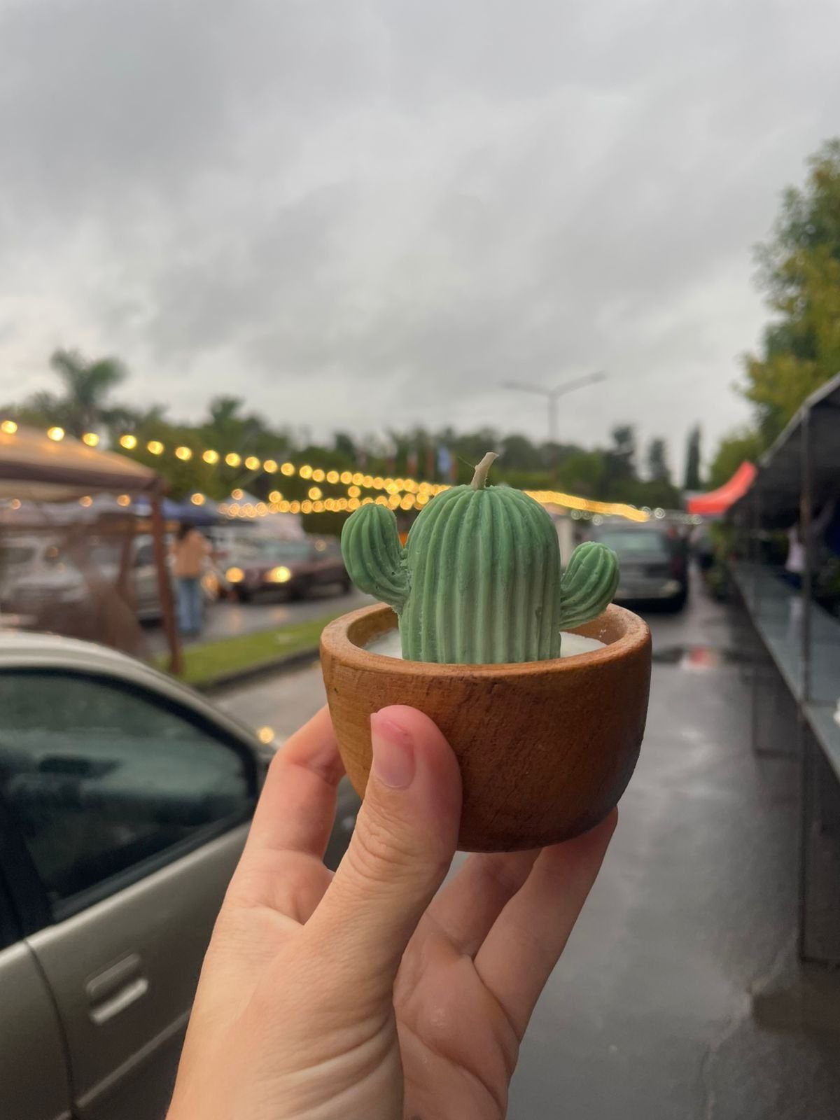 2026/01/320950.jpg Vela Cactus - Cuenco de Madera