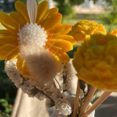 2026/02/320968.jpg 320968 400x400