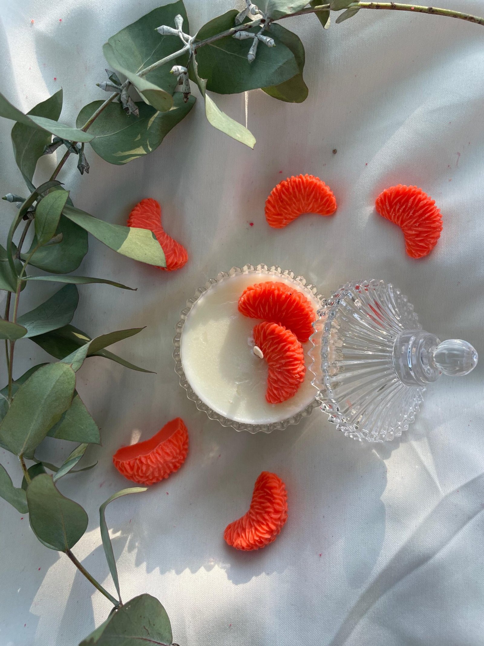 2026/03/342369-scaled.jpg Caramelera Circus con gajitos y flored