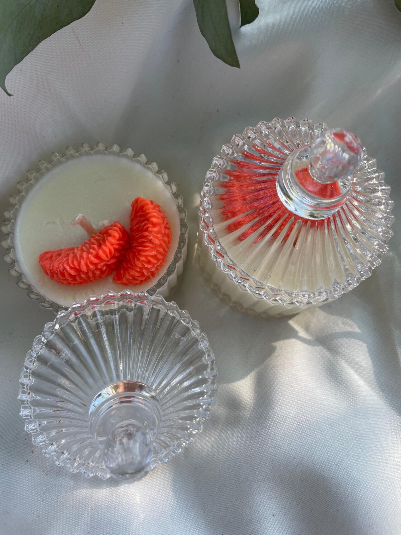 2026/03/342374-scaled.jpg Caramelera Circus con gajitos y flored - Imagen 3