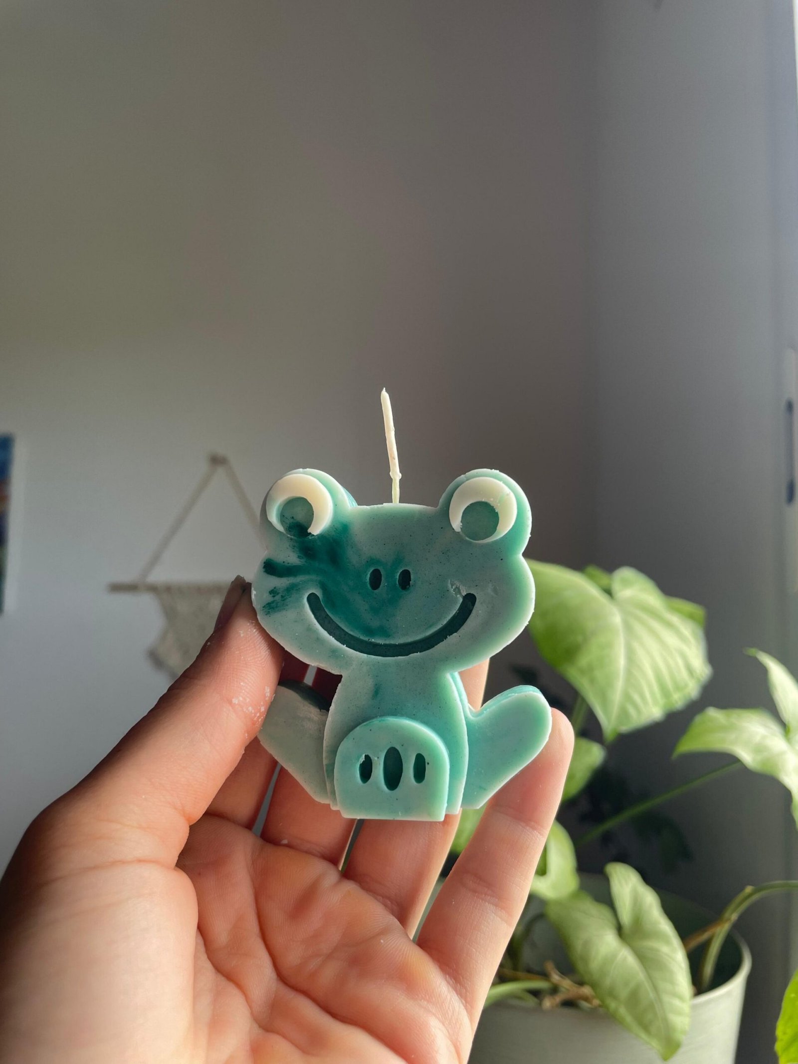 2026/03/342521-scaled.jpg Ranita Souvenir